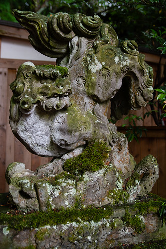 石浦神社境内社広坂稲荷神社の逆さ狛犬さん 吽