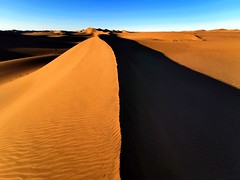 Stunning sand dunes in the Namib Desert - morning light
