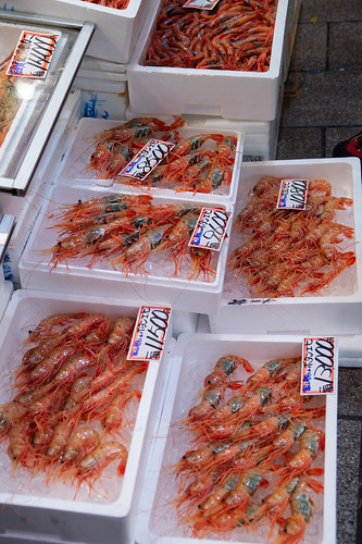 expensive shrimp