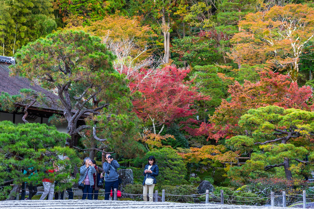 The World S Best Photos Of Kyoto And Leaf Flickr Hive Mind