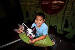 Day Trip to the California Science Center
