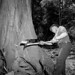 Lumberman Joe Townsley uses a special axe to tear out a section of a tree to control the direction of the falling tree, Powell River, British Columbia / Le bûcheron Joe Townsley se sert d’une hache spéciale pour couper une section d’arbre afin de diriger
