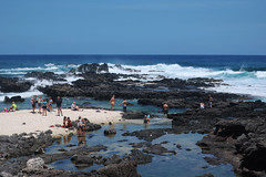 Ka'ena point tide pools