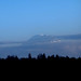View of Mt Rainier 1