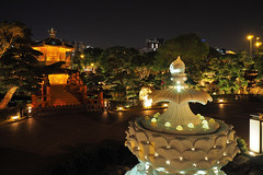 Nan Lian Garden at night  南蓮園池