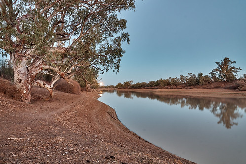 Early morning on Cooper Creek, west of Innamincka, SA