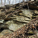 Sandstone (host rocks for the Gates-Adah Kimberlite Dike; north of Gates, Fayette County, Pennsylvania, USA) 3