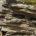 Sandstone (host rocks for the Gates-Adah Kimberlite Dike; north of Gates, Fayette County, Pennsylvania, USA) 2