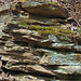 Sandstone (host rocks for the Gates-Adah Kimberlite Dike; north of Gates, Fayette County, Pennsylvania, USA) 1
