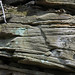 Sandstone (host rocks for the Gates-Adah Kimberlite Dike; north of Gates, Fayette County, Pennsylvania, USA) 5