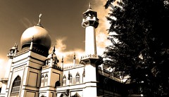 Anglų lietuvių žodynas. Žodis mosques reiškia mečetės lietuviškai.