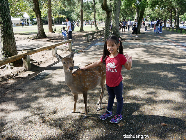 奈良東大寺,奈良公園,奈良餵鹿,奈良 @TISS玩味食尚