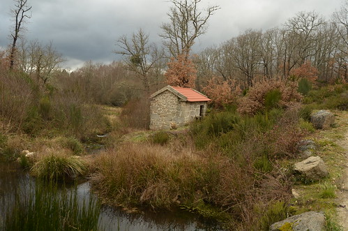 The mill by the stream