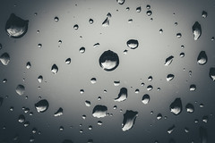 222/365 - Rain