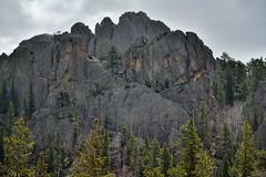 Amazing Rock Formations and Views (Custer State Park)