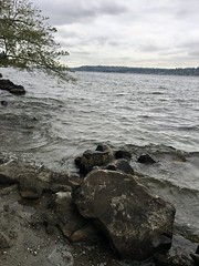 228/365: Gray Day at the Lake