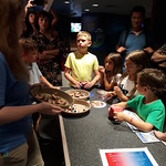 Children & Families Trip to the Aquarium by OSC Admin
