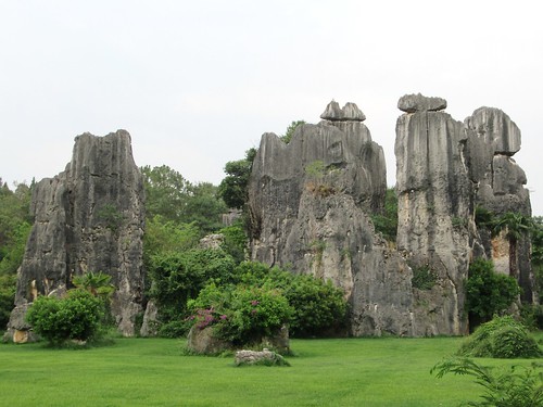Minor Stone Forest