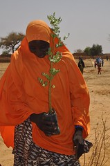Joint Reflection, Learning and Monitoring Field Visits in Niger
