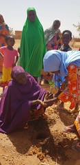 Joint Reflection, Learning and Monitoring Field Visits in Niger