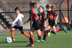 HBC Voetbal • <a style="font-size:0.8em;" href="http://www.flickr.com/photos/151401055@N04/48656703598/" target="_blank">View on Flickr</a>