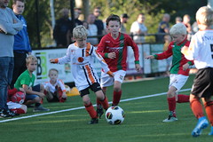HBC Voetbal • <a style="font-size:0.8em;" href="http://www.flickr.com/photos/151401055@N04/48656732443/" target="_blank">View on Flickr</a>