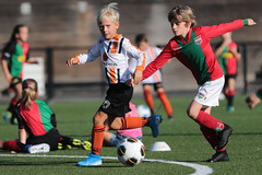 HBC Voetbal • <a style="font-size:0.8em;" href="http://www.flickr.com/photos/151401055@N04/48657081581/" target="_blank">View on Flickr</a>