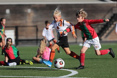 HBC Voetbal • <a style="font-size:0.8em;" href="http://www.flickr.com/photos/151401055@N04/48657081686/" target="_blank">View on Flickr</a>