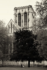 York Minster Perspectives (23)