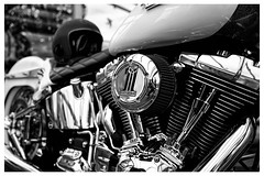 Harley Davidson #1 Black & White