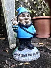 2019 251/365 9/8/2019 SUNDAY - Spock Gnome With Monarch Chrysalis On Elbow