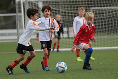 HBC Voetbal • <a style="font-size:0.8em;" href="http://www.flickr.com/photos/151401055@N04/48705331393/" target="_blank">View on Flickr</a>