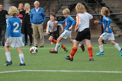 HBC Voetbal • <a style="font-size:0.8em;" href="http://www.flickr.com/photos/151401055@N04/48705616981/" target="_blank">View on Flickr</a>
