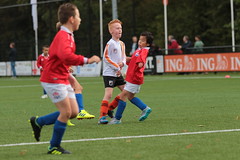 HBC Voetbal • <a style="font-size:0.8em;" href="http://www.flickr.com/photos/151401055@N04/48705662911/" target="_blank">View on Flickr</a>