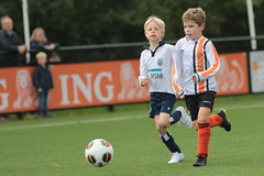 HBC Voetbal • <a style="font-size:0.8em;" href="http://www.flickr.com/photos/151401055@N04/48705799387/" target="_blank">View on Flickr</a>