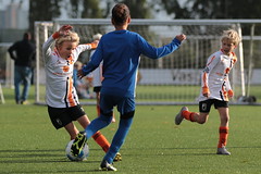 HBC Voetbal • <a style="font-size:0.8em;" href="http://www.flickr.com/photos/151401055@N04/48705818497/" target="_blank">View on Flickr</a>