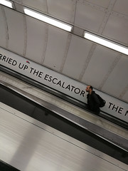 Up The Escalator 253/365 2019