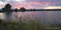 September 10, 2019 - Sunset at McKay Lake. (David Canfield)