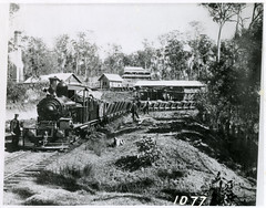Coal Train at Ipswich