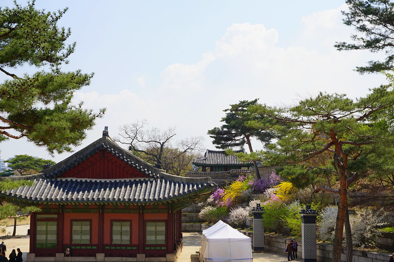Changgyeonggung Palace, Seoul<br/>© <a href="https://flickr.com/people/24879135@N04" target="_blank" rel="nofollow">24879135@N04</a> (<a href="https://flickr.com/photo.gne?id=48732815943" target="_blank" rel="nofollow">Flickr</a>)