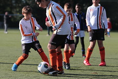 HBC Voetbal • <a style="font-size:0.8em;" href="http://www.flickr.com/photos/151401055@N04/48732922308/" target="_blank">View on Flickr</a>