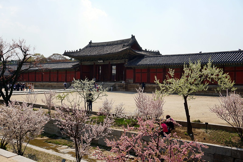 Changgyeonggung Palace, Seoul<br/>© <a href="https://flickr.com/people/24879135@N04" target="_blank" rel="nofollow">24879135@N04</a> (<a href="https://flickr.com/photo.gne?id=48733145186" target="_blank" rel="nofollow">Flickr</a>)