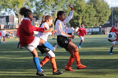 HBC Voetbal • <a style="font-size:0.8em;" href="http://www.flickr.com/photos/151401055@N04/48733232251/" target="_blank">View on Flickr</a>