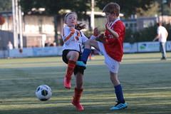 HBC Voetbal • <a style="font-size:0.8em;" href="http://www.flickr.com/photos/151401055@N04/48733234276/" target="_blank">View on Flickr</a>
