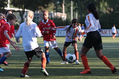 HBC Voetbal • <a style="font-size:0.8em;" href="http://www.flickr.com/photos/151401055@N04/48733405802/" target="_blank">View on Flickr</a>