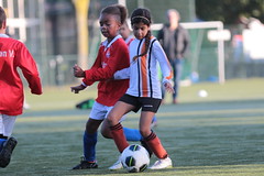 HBC Voetbal • <a style="font-size:0.8em;" href="http://www.flickr.com/photos/151401055@N04/48733411717/" target="_blank">View on Flickr</a>