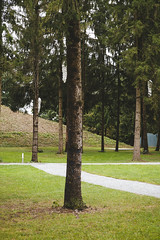 Spätsommerfest im Österreichischen Skulpturenpark | Late Summer Celebration at Austrian Sculpture Park