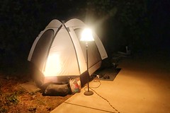 backyard camping [Day 3916]