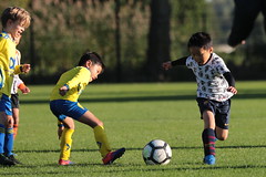 HBC Voetbal • <a style="font-size:0.8em;" href="http://www.flickr.com/photos/151401055@N04/48777065163/" target="_blank">View on Flickr</a>
