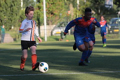 HBC Voetbal • <a style="font-size:0.8em;" href="http://www.flickr.com/photos/151401055@N04/48777077663/" target="_blank">View on Flickr</a>